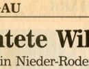 01.06.1992 / Offenbach Post (1)