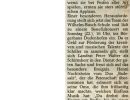 13.03.2009 / Dreieich Zeitung