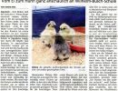 30.03.2019 / Offenbach Post (3)