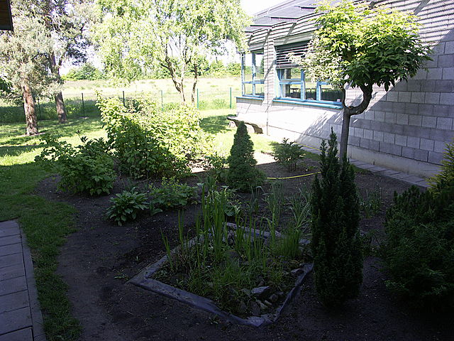 PICT0995